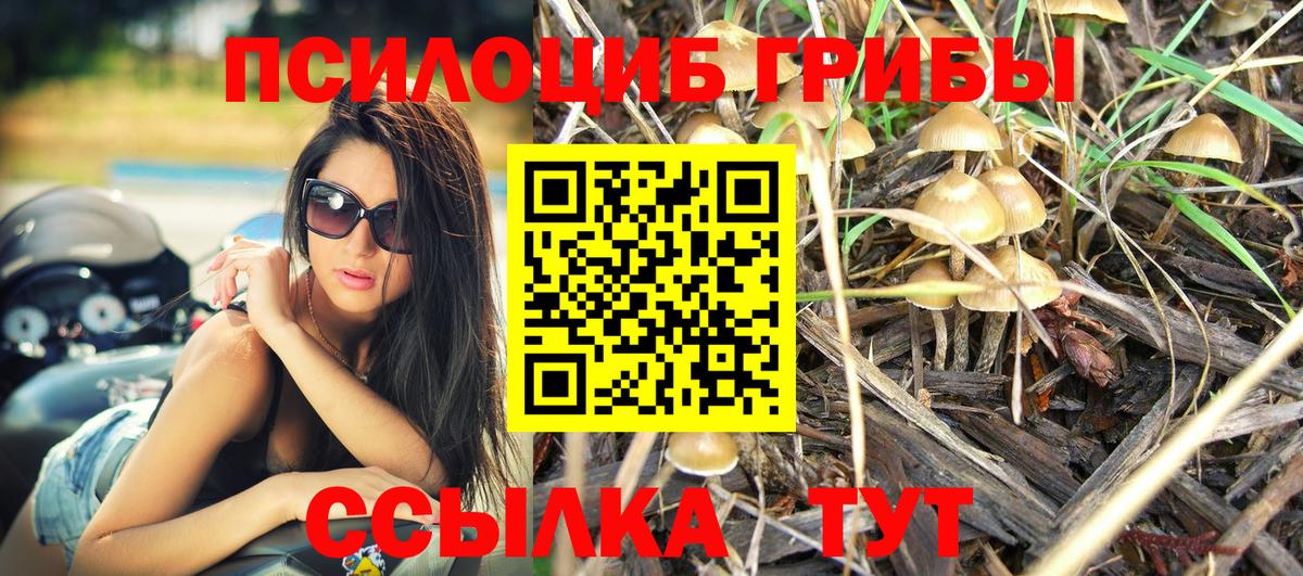 Домодедово  Галлюциногенные грибы Magic Shrooms  Вход с VPN 